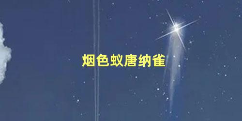 烟色蚁唐纳雀