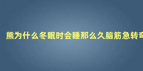 熊为什么冬眠时会睡那么久脑筋急转弯