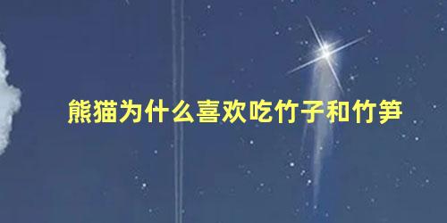 熊猫为什么喜欢吃竹子和竹笋