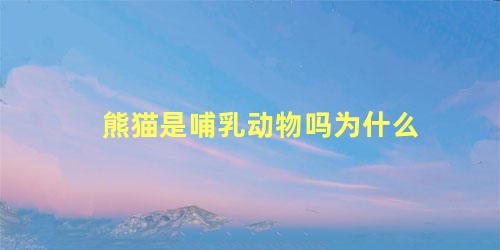 熊猫是哺乳动物吗为什么