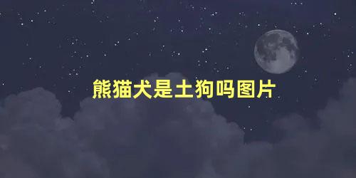 熊猫犬是土狗吗图片
