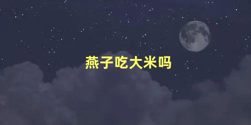 燕子吃大米吗