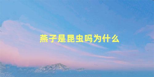 燕子是昆虫吗为什么