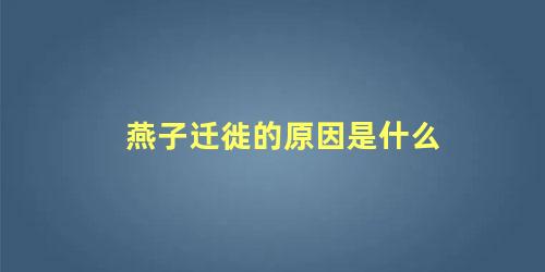燕子迁徙的原因是什么