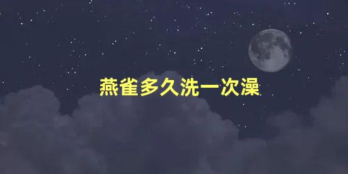 燕雀多久洗一次澡
