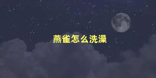 燕雀怎么洗澡
