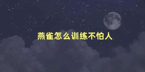 燕雀怎么训练不怕人