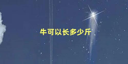 牛可以长多少斤