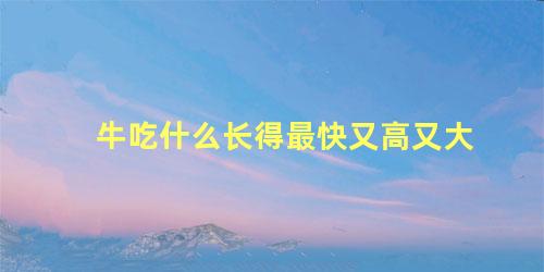 牛吃什么长得最快又高又大