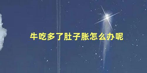 牛吃多了肚子胀怎么办呢
