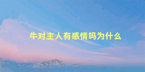 牛对主人有感情吗为什么