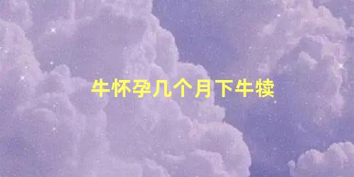 牛怀孕几个月下牛犊