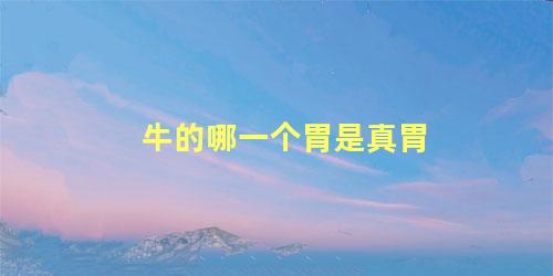牛的哪一个胃是真胃