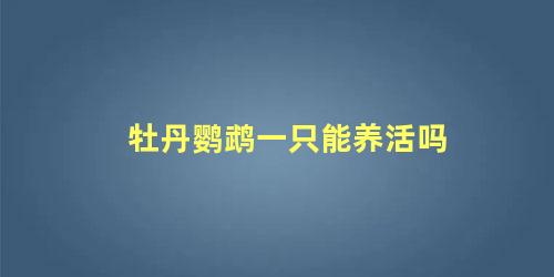 牡丹鹦鹉一只能养活吗