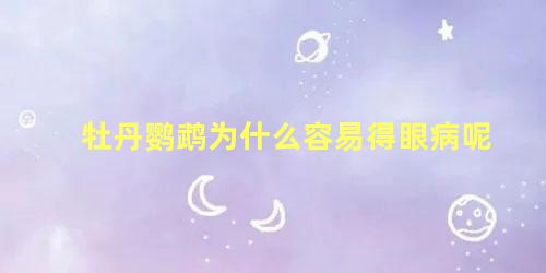 牡丹鹦鹉为什么容易得眼病呢