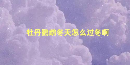 牡丹鹦鹉冬天怎么过冬啊