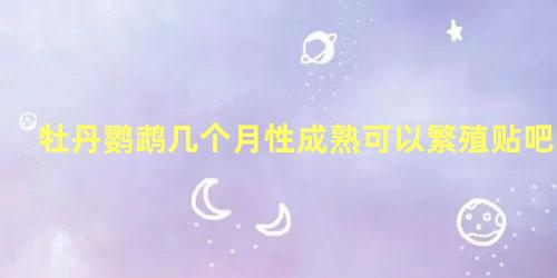 牡丹鹦鹉几个月性成熟可以繁殖贴吧