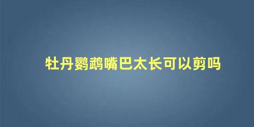 牡丹鹦鹉嘴巴太长可以剪吗