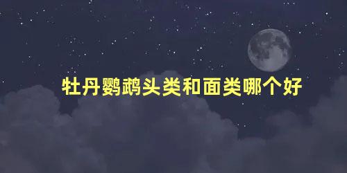 牡丹鹦鹉头类和面类哪个好