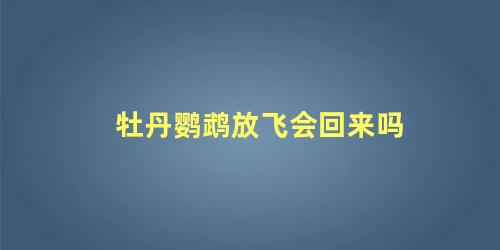 牡丹鹦鹉放飞会回来吗
