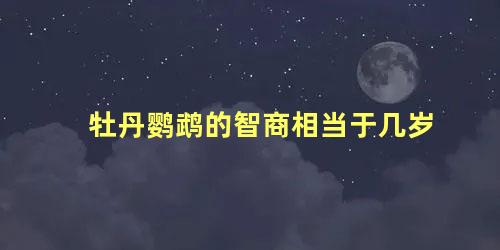 牡丹鹦鹉的智商相当于几岁