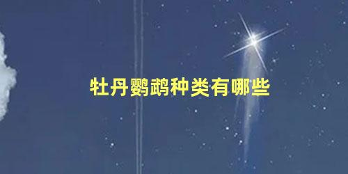 牡丹鹦鹉种类有哪些