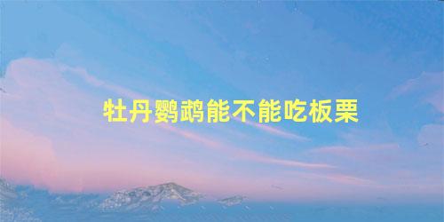 牡丹鹦鹉能不能吃板栗