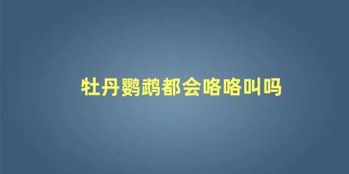 牡丹鹦鹉都会咯咯叫吗