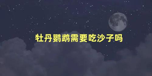牡丹鹦鹉需要吃沙子吗