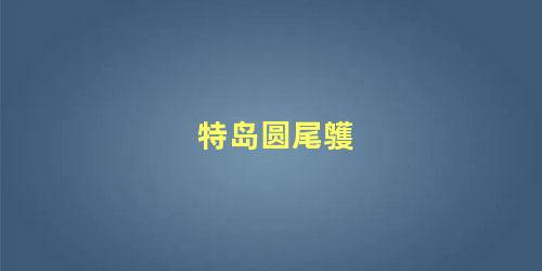 特岛圆尾鹱