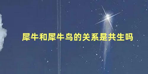 犀牛和犀牛鸟的关系是共生吗