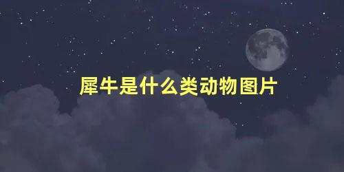 犀牛是什么类动物图片