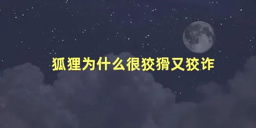 狐狸为什么很狡猾又狡诈