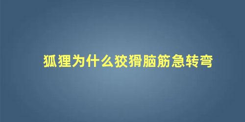 狐狸为什么狡猾脑筋急转弯