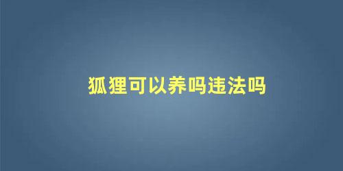 狐狸可以养吗违法吗
