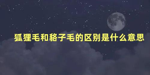 狐狸毛和貉子毛的区别是什么意思