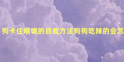 狗卡住喉咙的自救方法狗狗吃辣的会怎么样