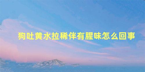 狗吐黄水拉稀伴有腥味怎么回事