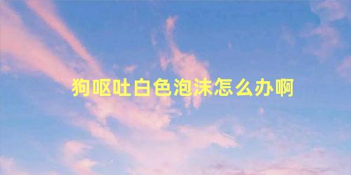 狗呕吐白色泡沫怎么办啊