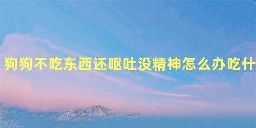 狗狗不吃东西还呕吐没精神怎么办吃什么药