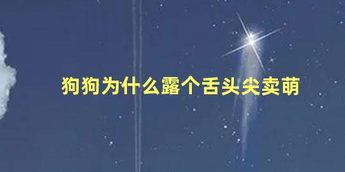 狗狗为什么露个舌头尖卖萌