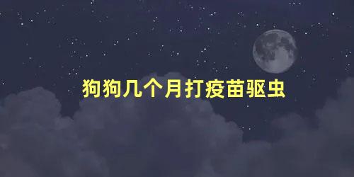 狗狗几个月打疫苗驱虫