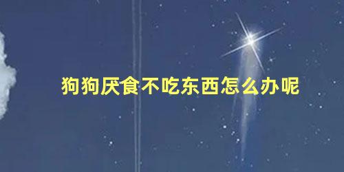 狗狗厌食不吃东西怎么办呢