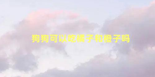 狗狗可以吃橘子和橙子吗