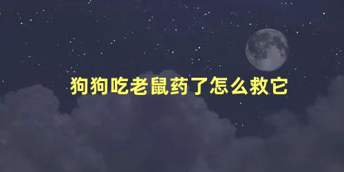 狗狗吃老鼠药了怎么救它