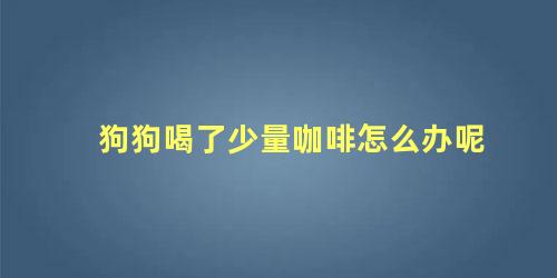 狗狗喝了少量咖啡怎么办呢