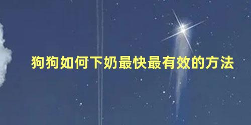 狗狗如何下奶最快最有效的方法