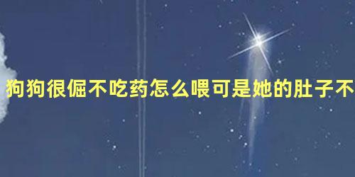 狗狗很倔不吃药怎么喂可是她的肚子不舒服