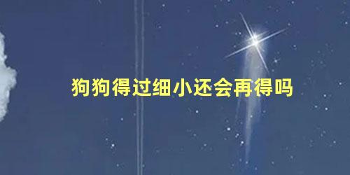 狗狗得过细小还会再得吗