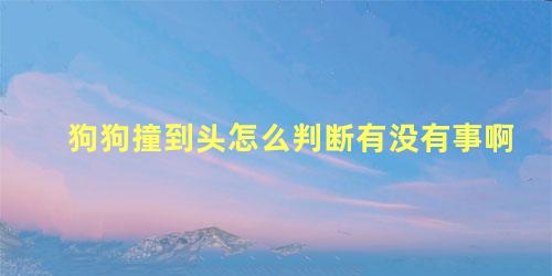 狗狗撞到头怎么判断有没有事啊